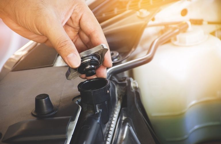 a technician's hand checking the coolant of a car