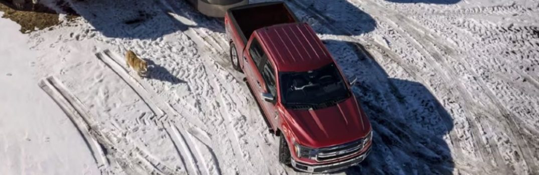 2025 Ford F-150 Parts and Accessories