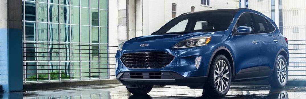 Everything You Need to Know About the 2022 Ford Escape