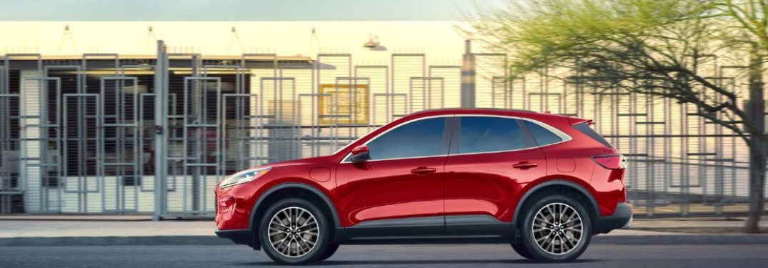 How Big is the Cargo Space of the 2019 Ford Escape?