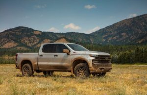 2019 chevy silverado in grassy field with mountains behind it