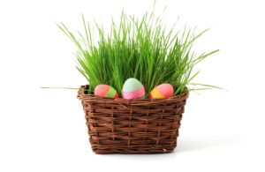 Easter basket with three eggs