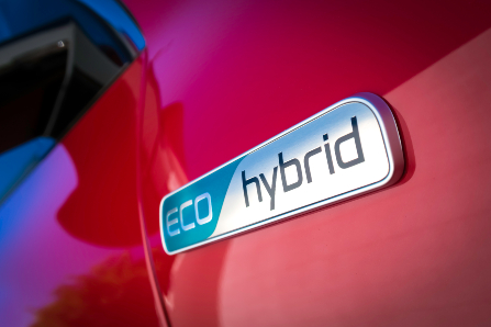 2019 Kia Niro with Eco Hybrid Badge