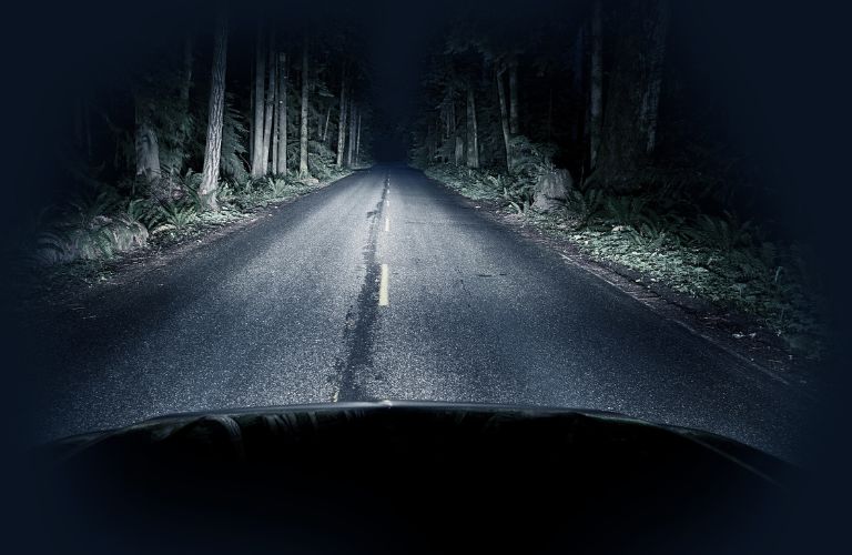 Point of view image of a car running on the road in the middle of a forest.